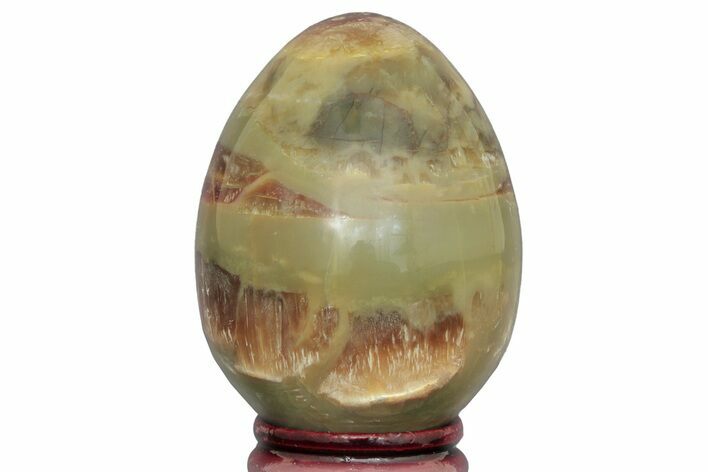 Chatoyant, Polished Arizona Pietersite Egg - Arizona #206516